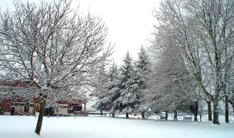 El jardín
