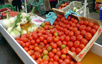 tomates y cebollas